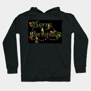 Merry Christmas, Let the Fun Begin! Hoodie